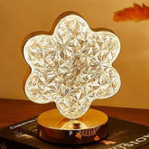 Beautiful Decorative LED Light